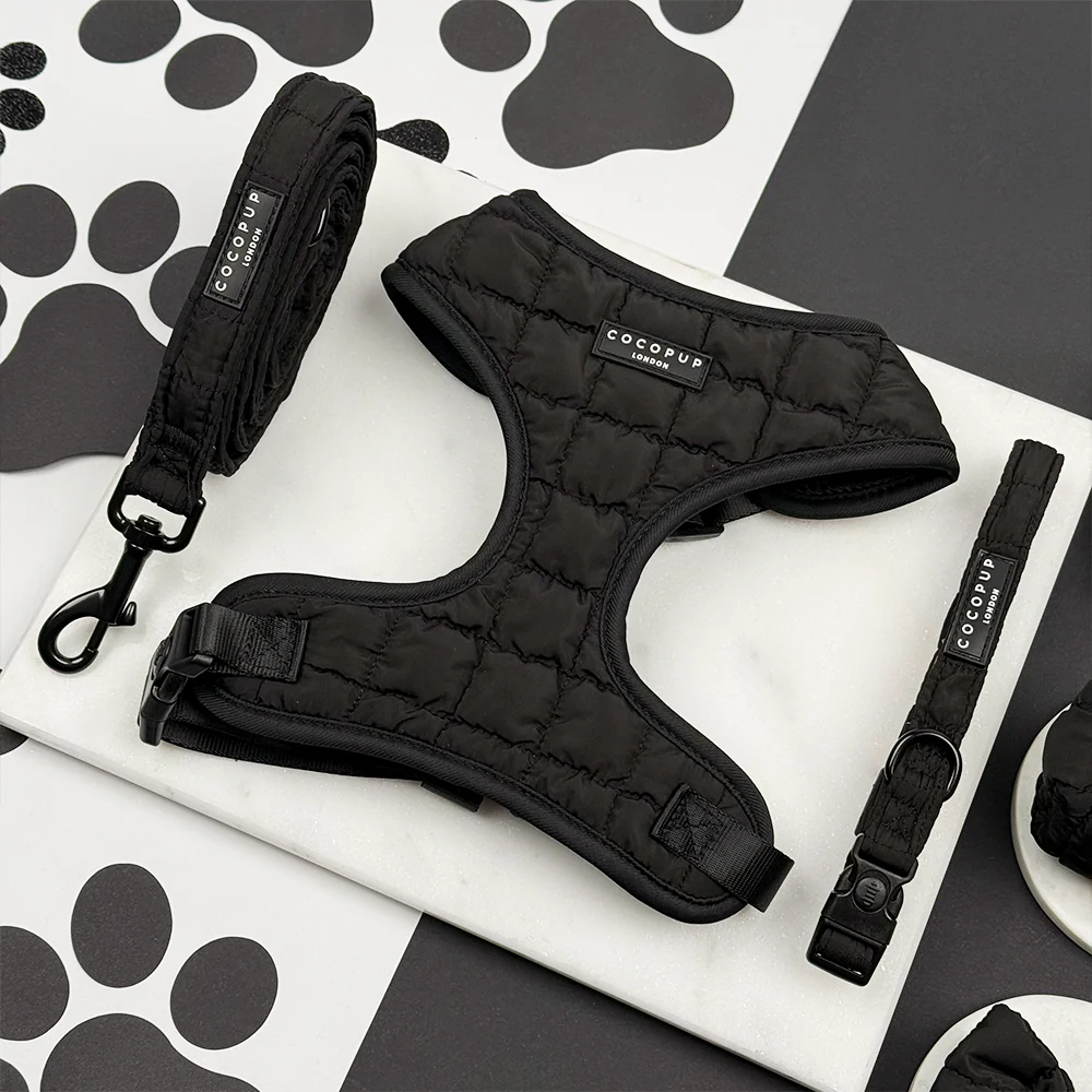 Onyx Quilted Adjustable Neck Harness, Lead & Collar Bundle - Image 3