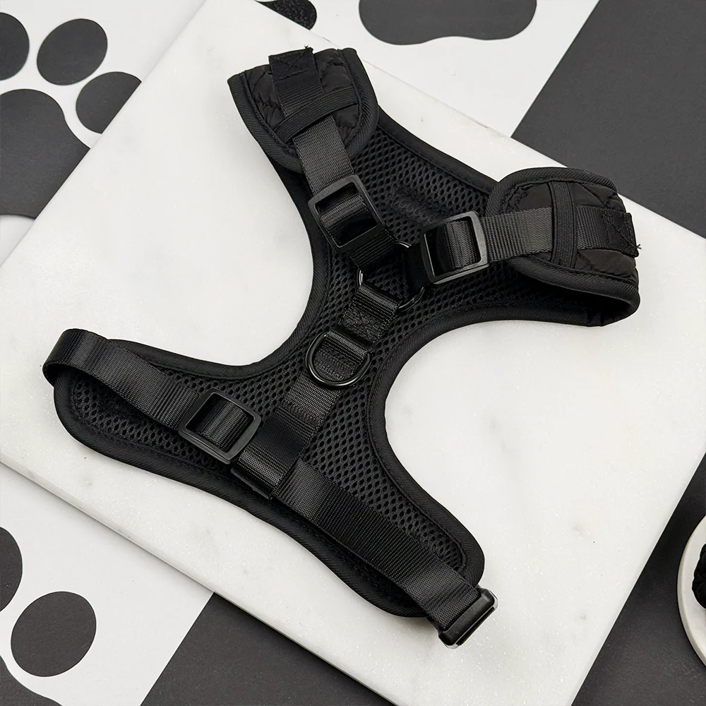 Onyx Quilted Adjustable Neck Harness, Lead & Collar Bundle - Image 5
