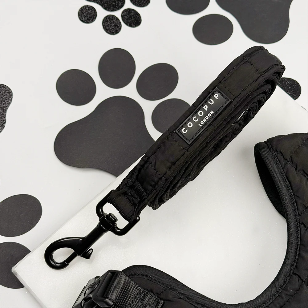 Onyx Quilted Adjustable Neck Harness, Lead & Collar Bundle - Image 6