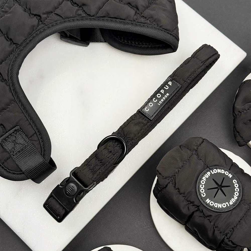 Onyx Quilted Adjustable Neck Harness, Lead & Collar Bundle - Image 7