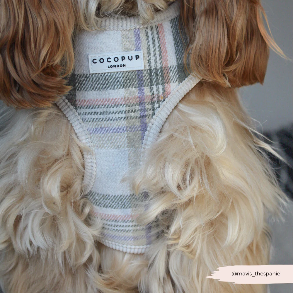 Oxford Plaid Adjustable Neck Harness, Lead & Collar Bundle - Image 16