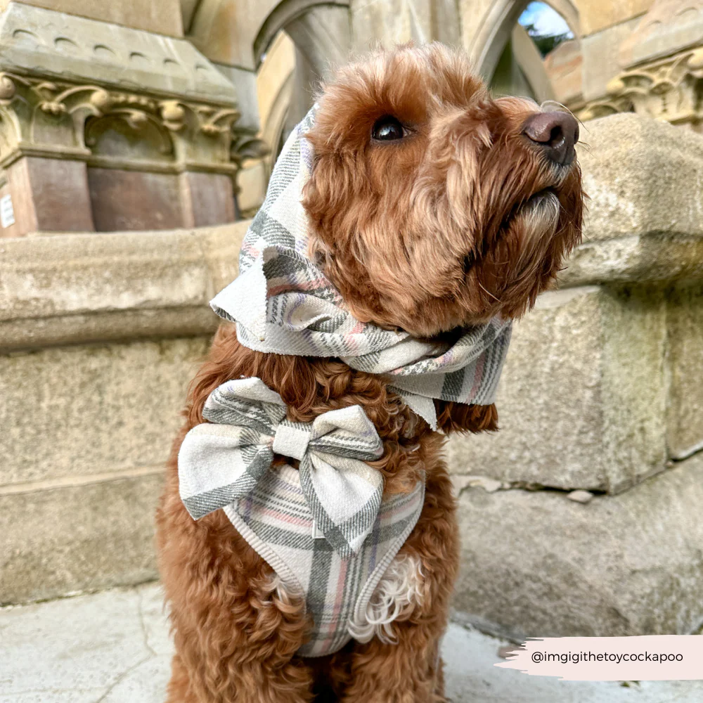 Oxford Plaid Sailor Bow Tie - Image 5