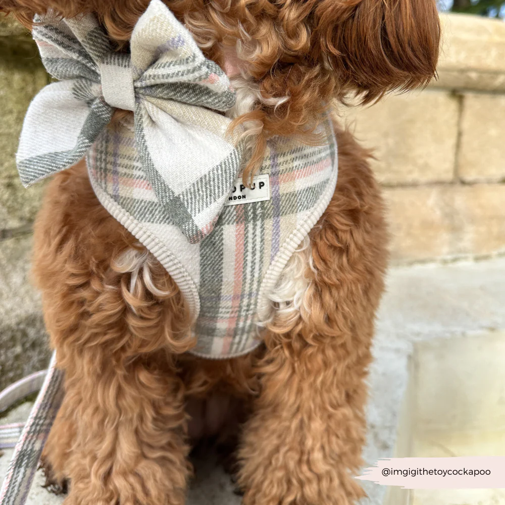 Oxford Plaid Sailor Bow Tie - Image 6