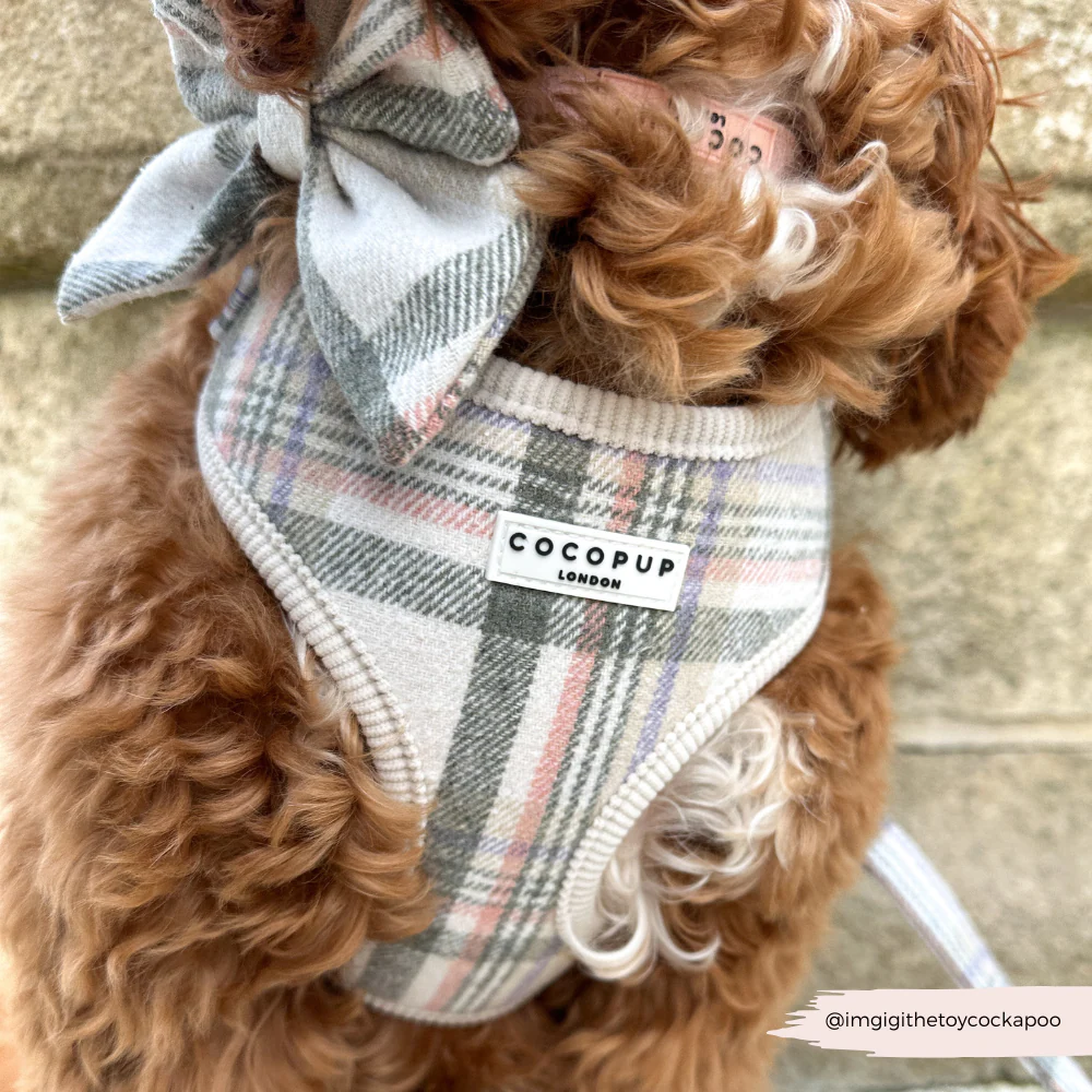 Oxford Plaid Sailor Bow Tie - Image 3