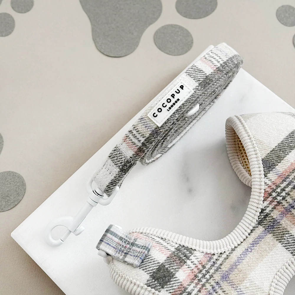 Oxford Plaid Adjustable Neck Harness, Lead & Collar Bundle - Image 3