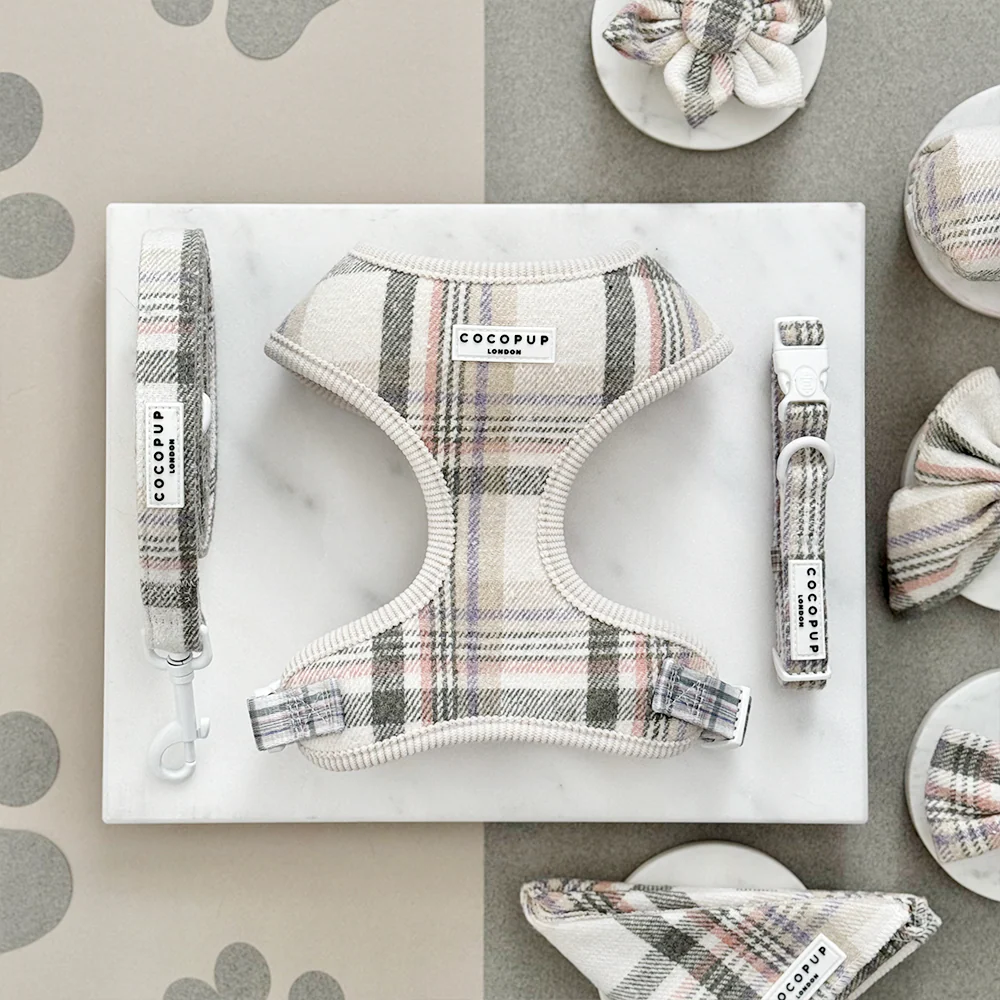 Oxford Plaid Adjustable Neck Harness, Lead & Collar Bundle - Image 4