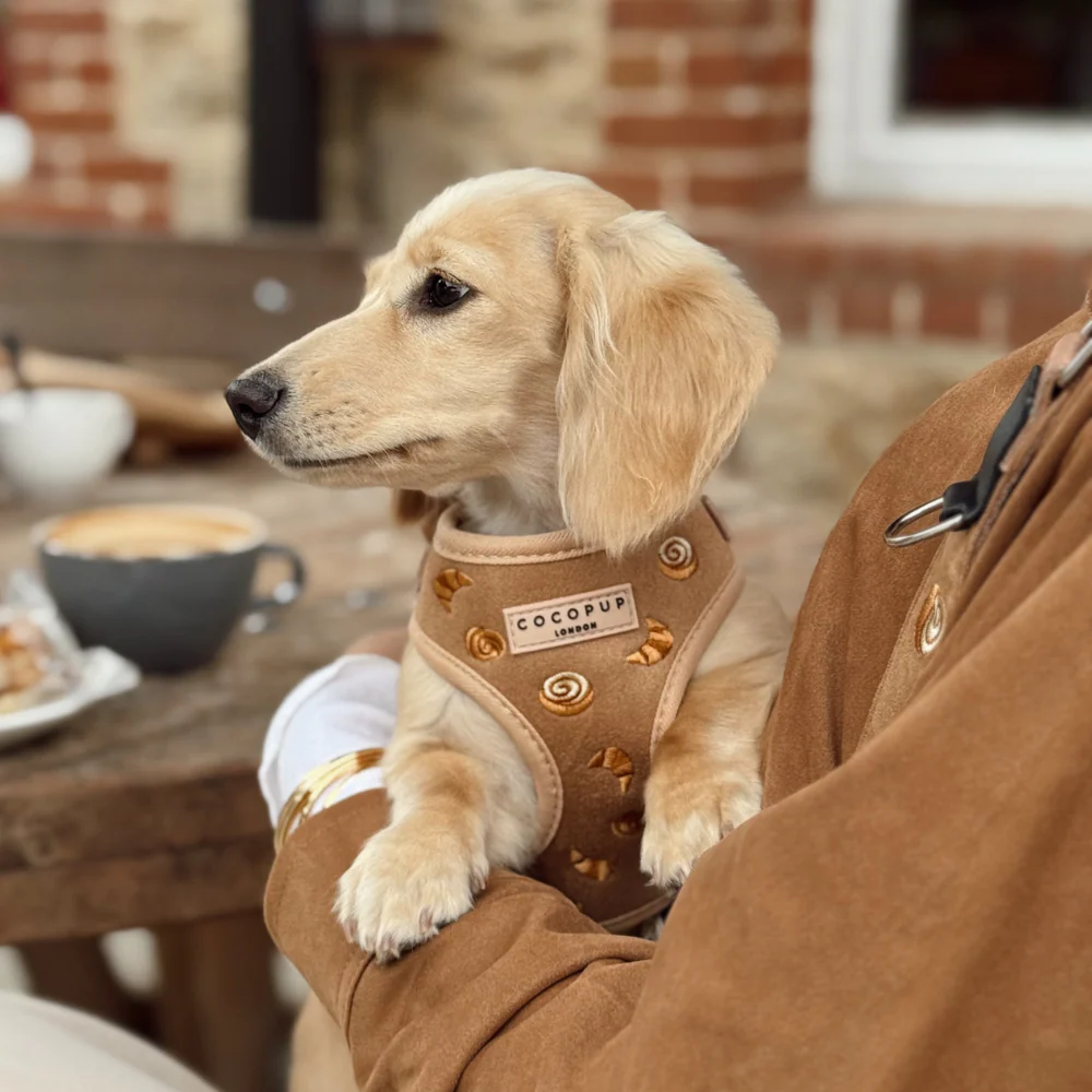 Pawtisserie Adjustable Neck HARNESS - Image 11