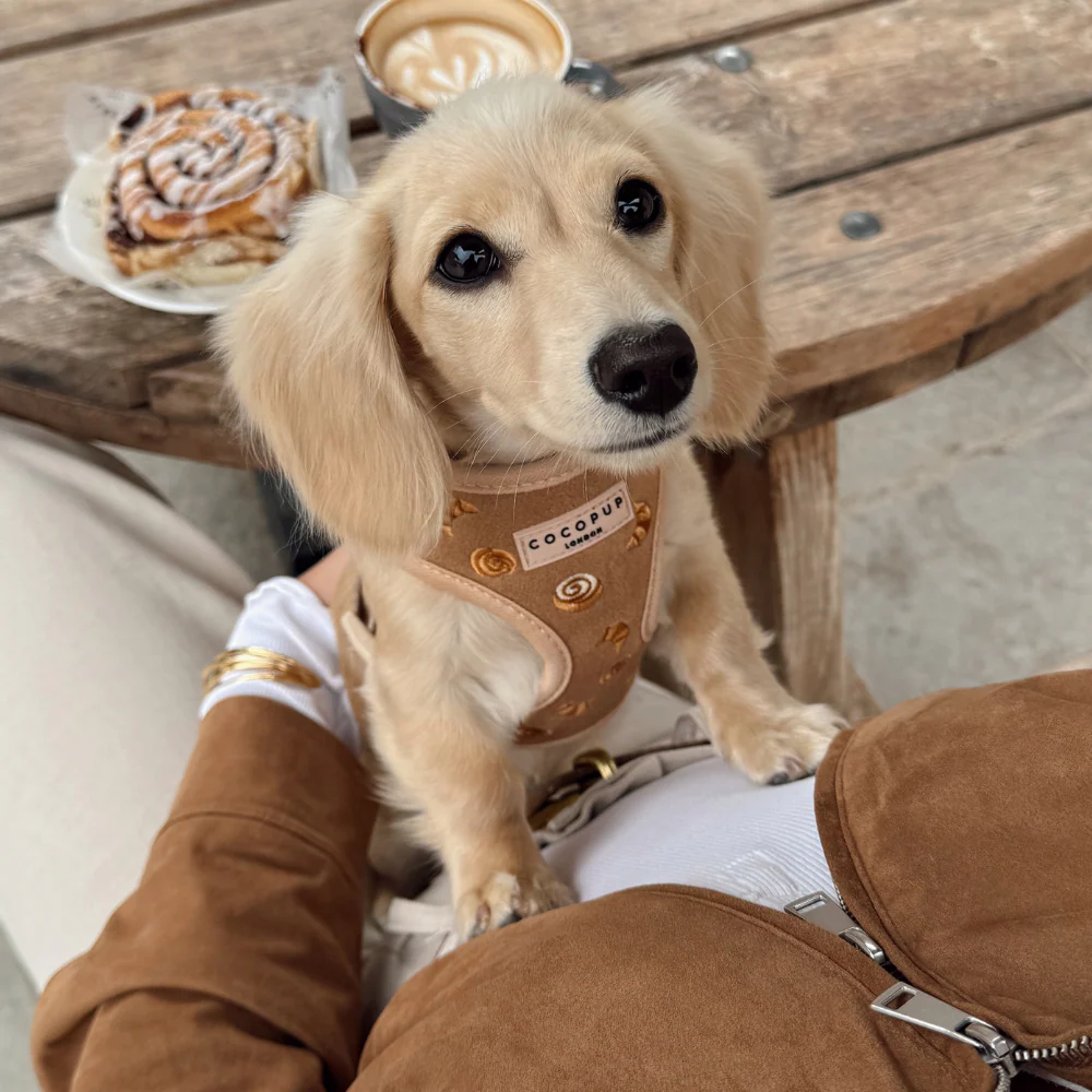 Pawtisserie Adjustable Neck HARNESS - Image 10