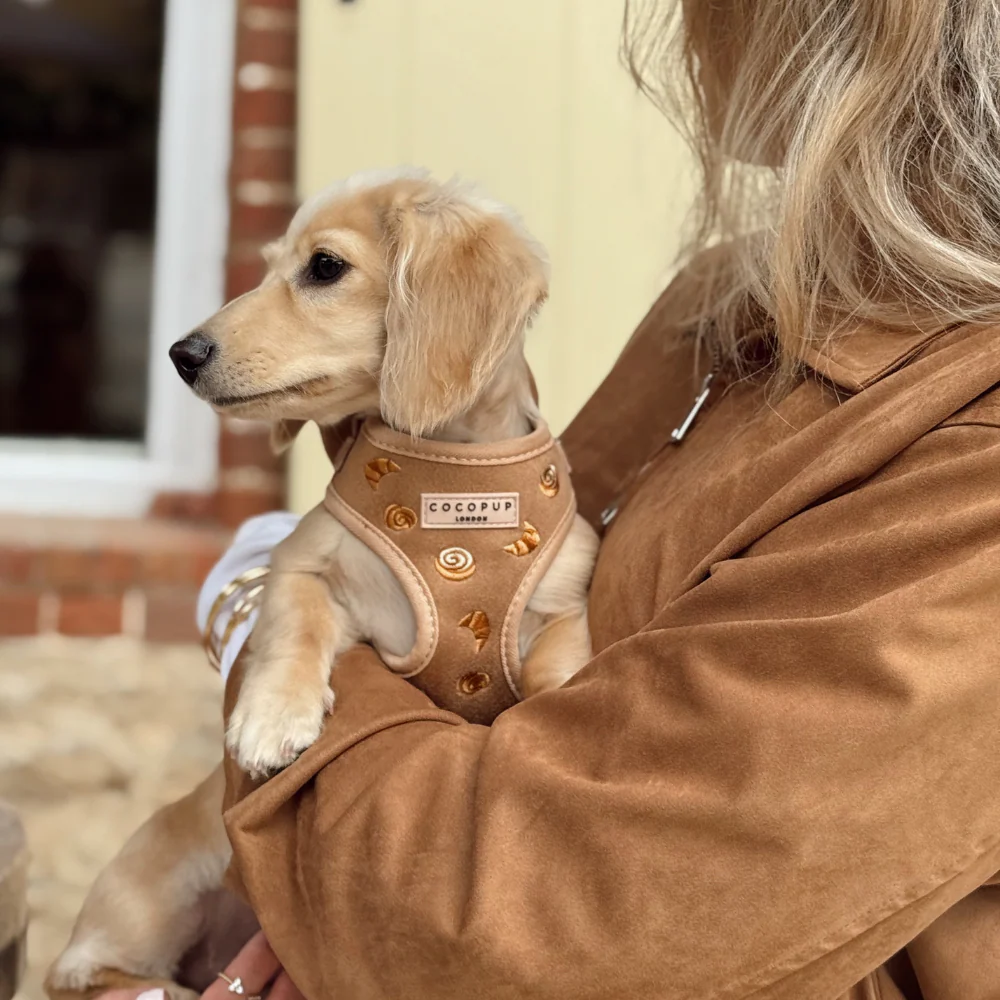 Pawtisserie Adjustable Neck HARNESS - Image 9