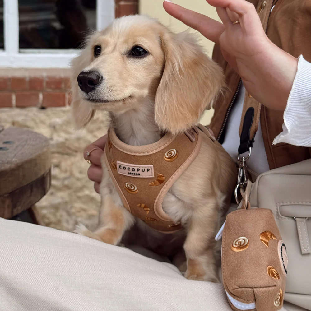 Pawtisserie Adjustable Neck Harness, Lead & Collar Bundle - Image 14