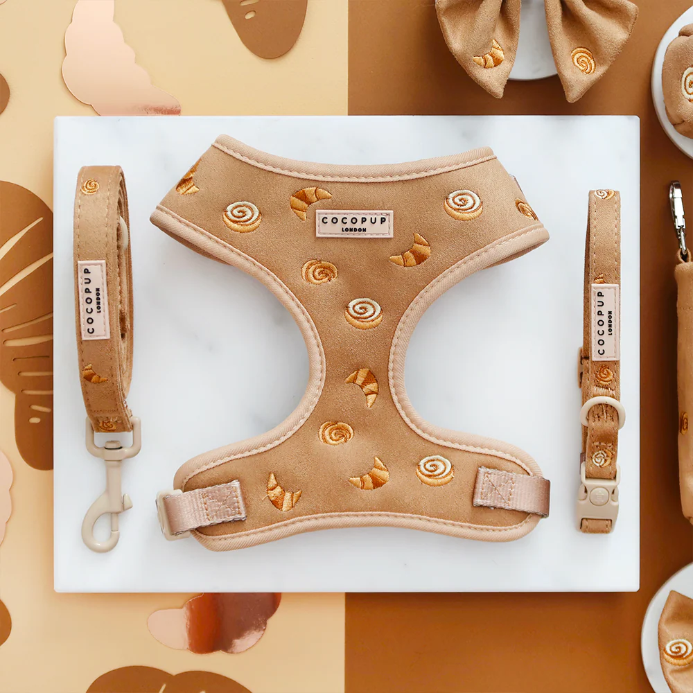 Pawtisserie Adjustable Neck Harness, Lead & Collar Bundle - Image 3