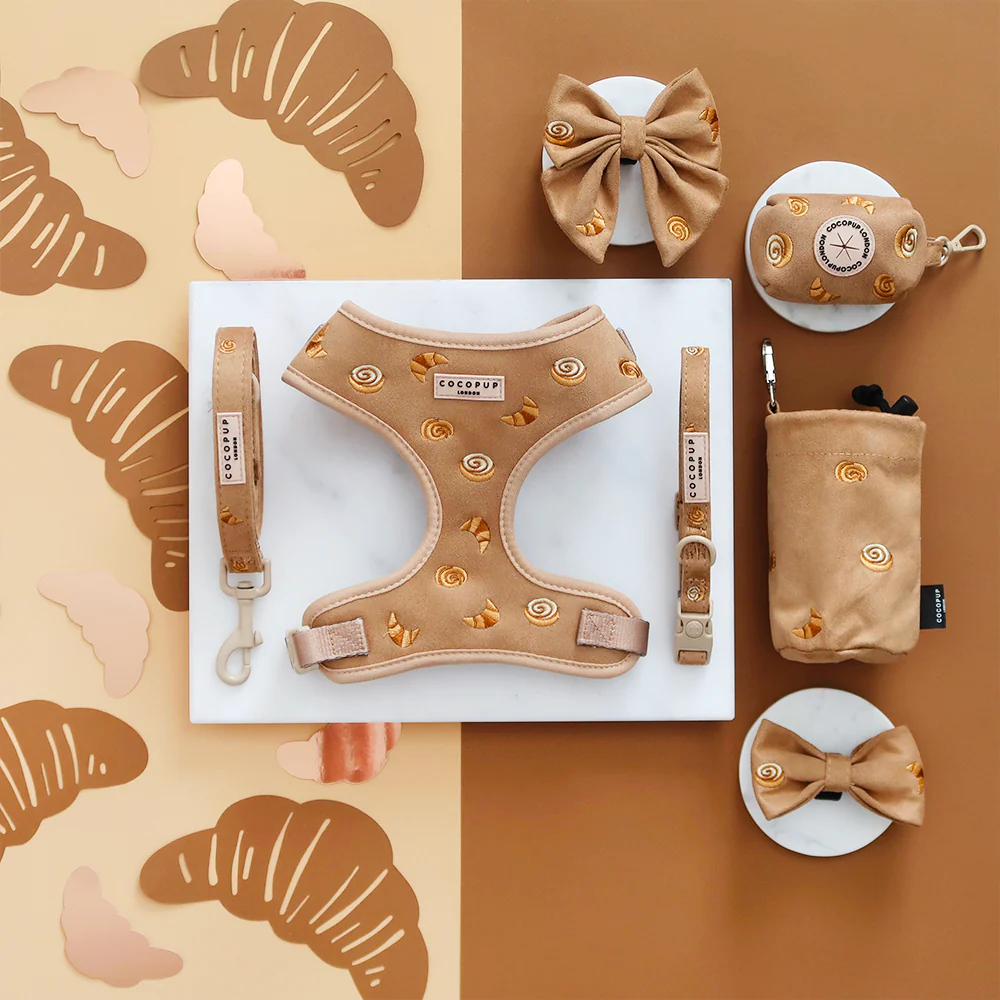 Pawtisserie Adjustable Neck Harness, Lead & Collar Bundle - Image 8