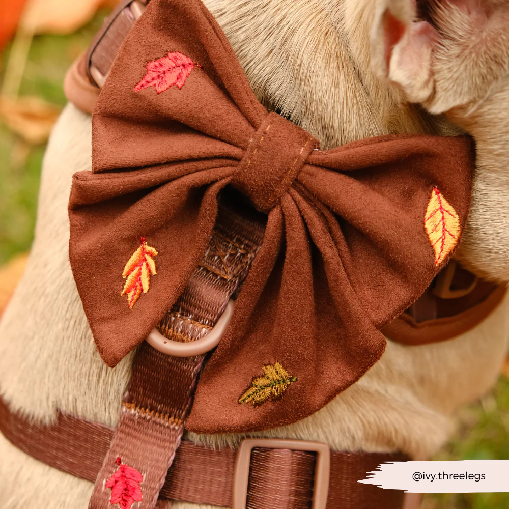 Pawtumn Leaves Sailor Bow Tie - Image 3