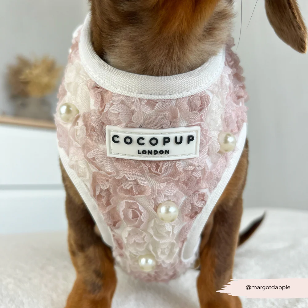 Pearly Pup Adjustable Neck Harness, Lead & Collar Bundle - Image 10