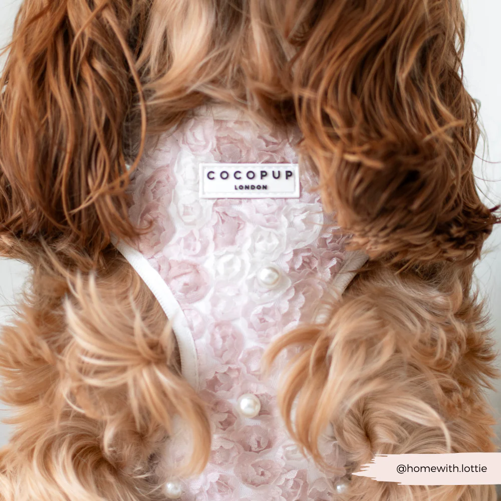 Pearly Pup Adjustable Neck HARNESS - Image 11