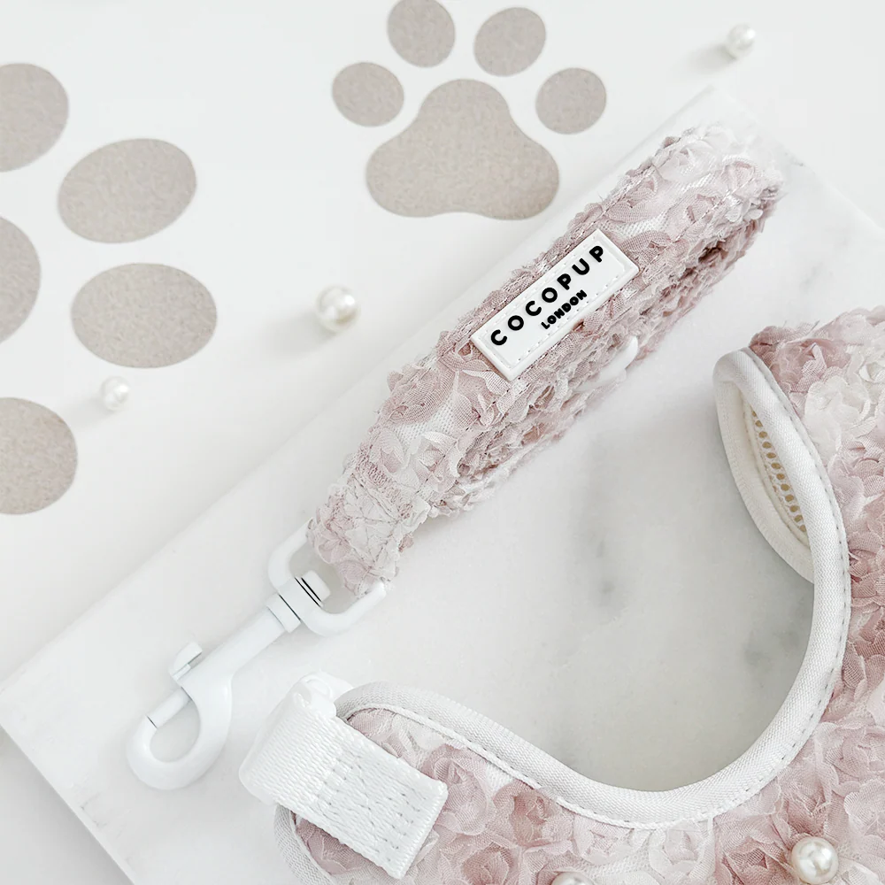 Pearly Pup Adjustable Neck Harness, Lead & Collar Bundle - Image 3