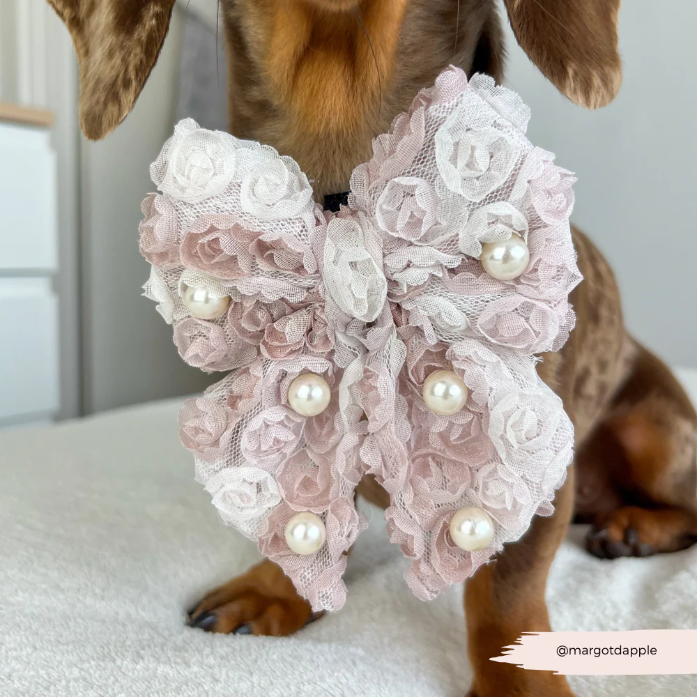 Pearly Pup Sailor Bow Tie - Image 6
