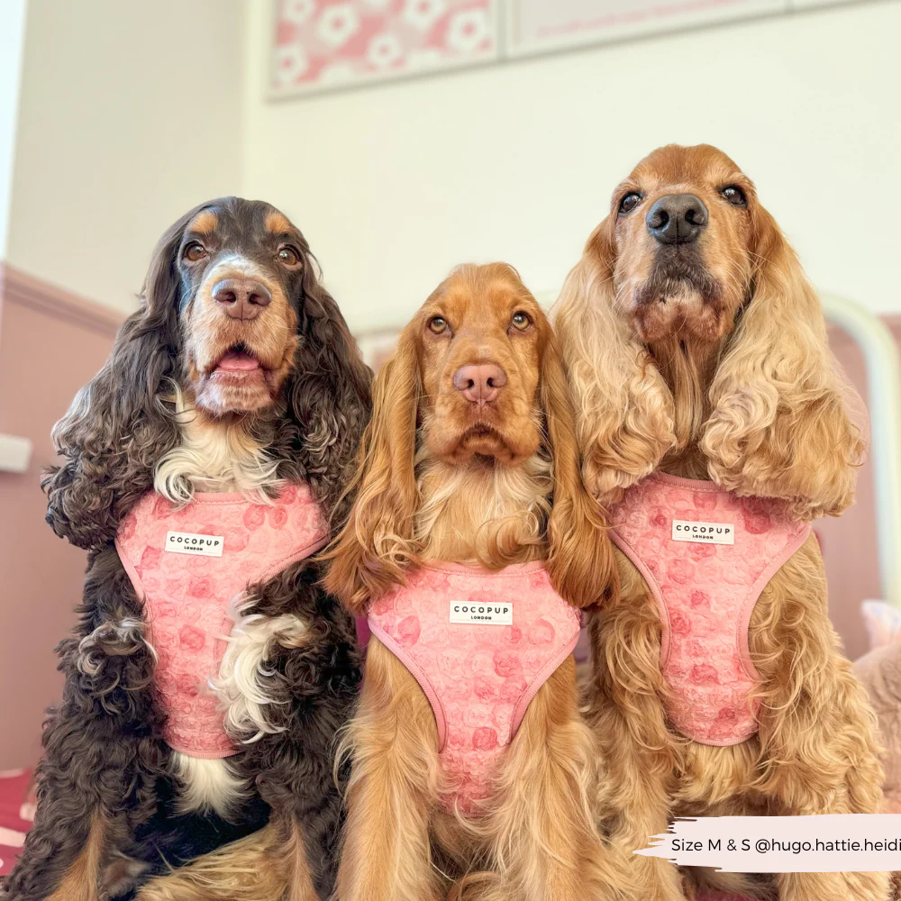 Peony Pup Adjustable Neck HARNESS - Image 10