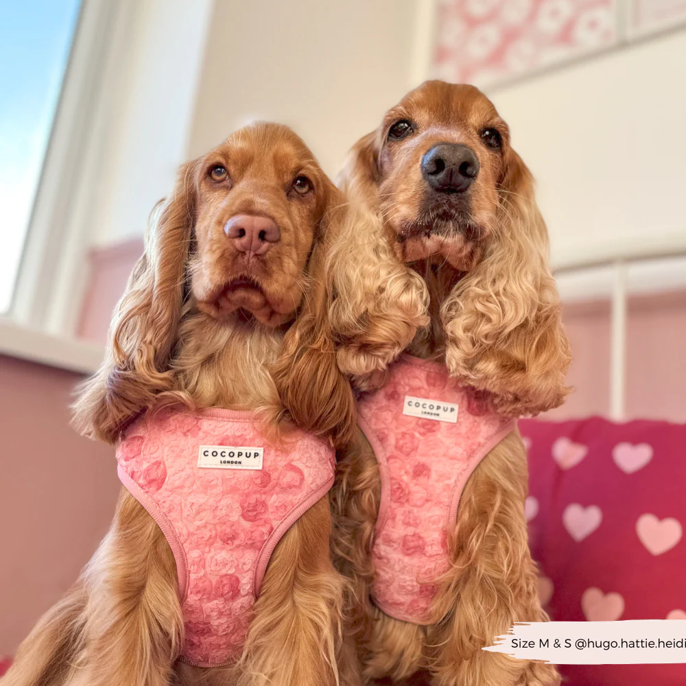 Peony Pup Adjustable Neck HARNESS - Image 6