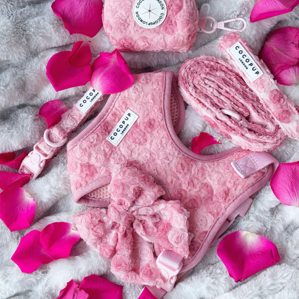 Peony Pup Adjustable Neck Harness, Lead & Collar Bundle - Image 28