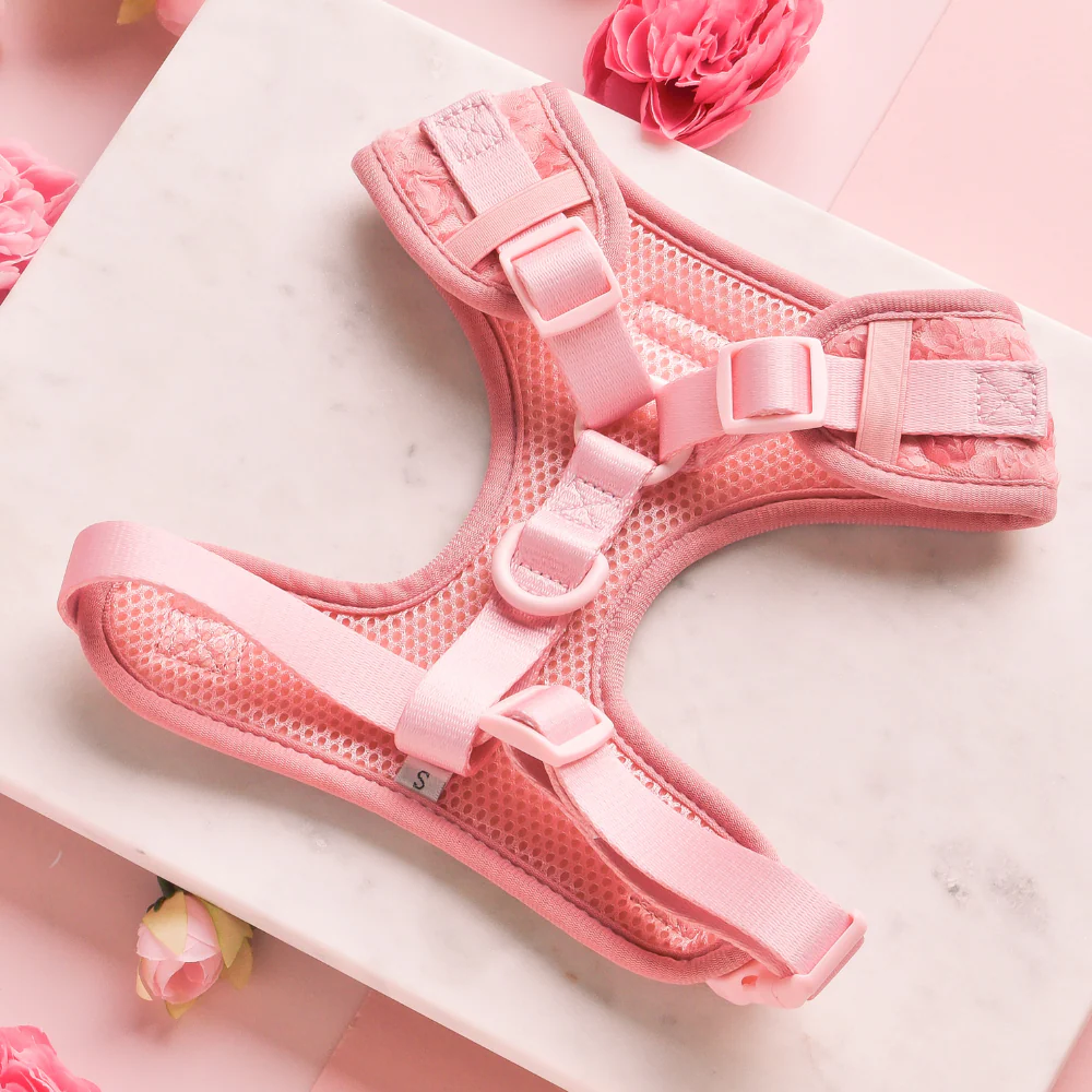 Peony Pup Adjustable Neck HARNESS - Image 3