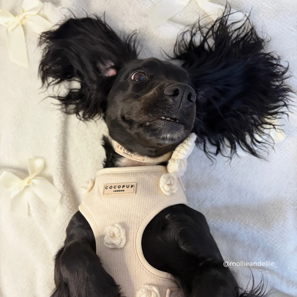 Petal Patch Adjustable Neck HARNESS - Image 14