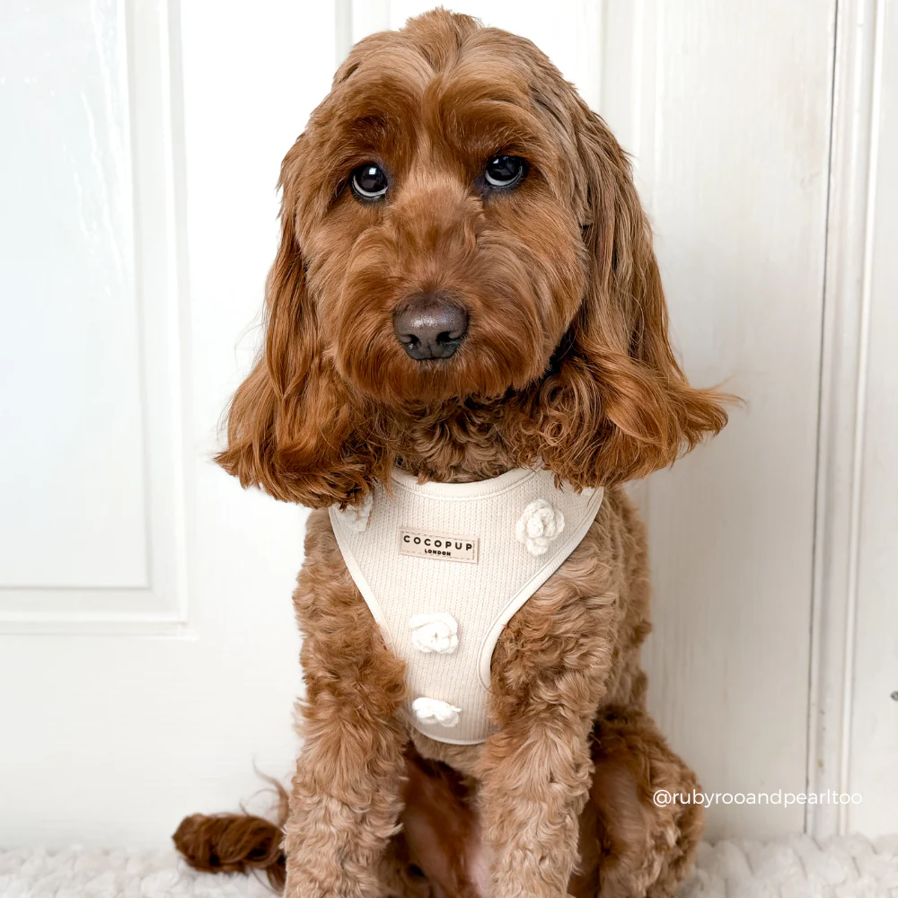 Petal Patch Adjustable Neck HARNESS - Image 15