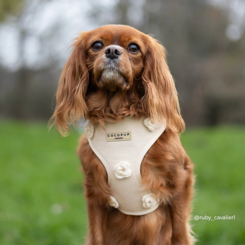 Petal Patch Adjustable Neck HARNESS - Image 18