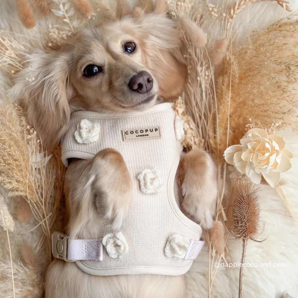 Petal Patch Adjustable Neck HARNESS - Image 6