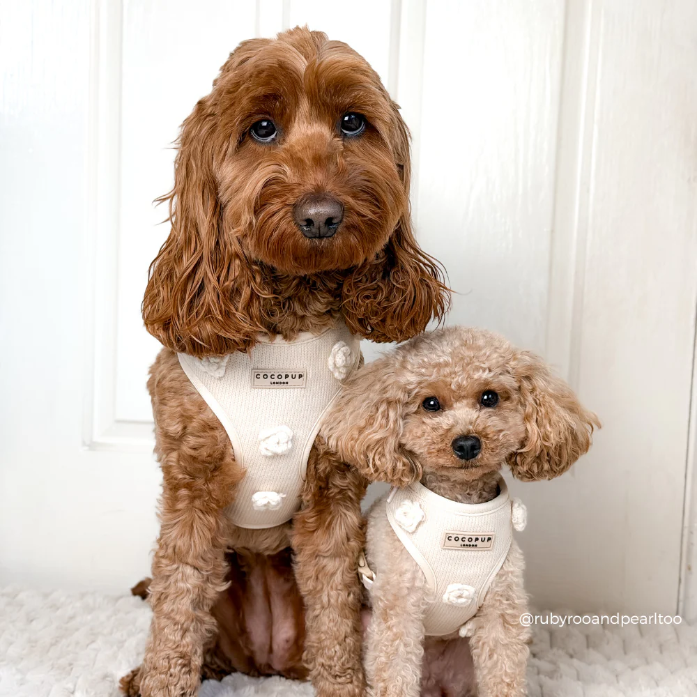Petal Patch Adjustable Neck HARNESS - Image 13