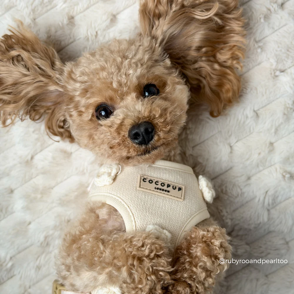Petal Patch Adjustable Neck HARNESS - Image 10