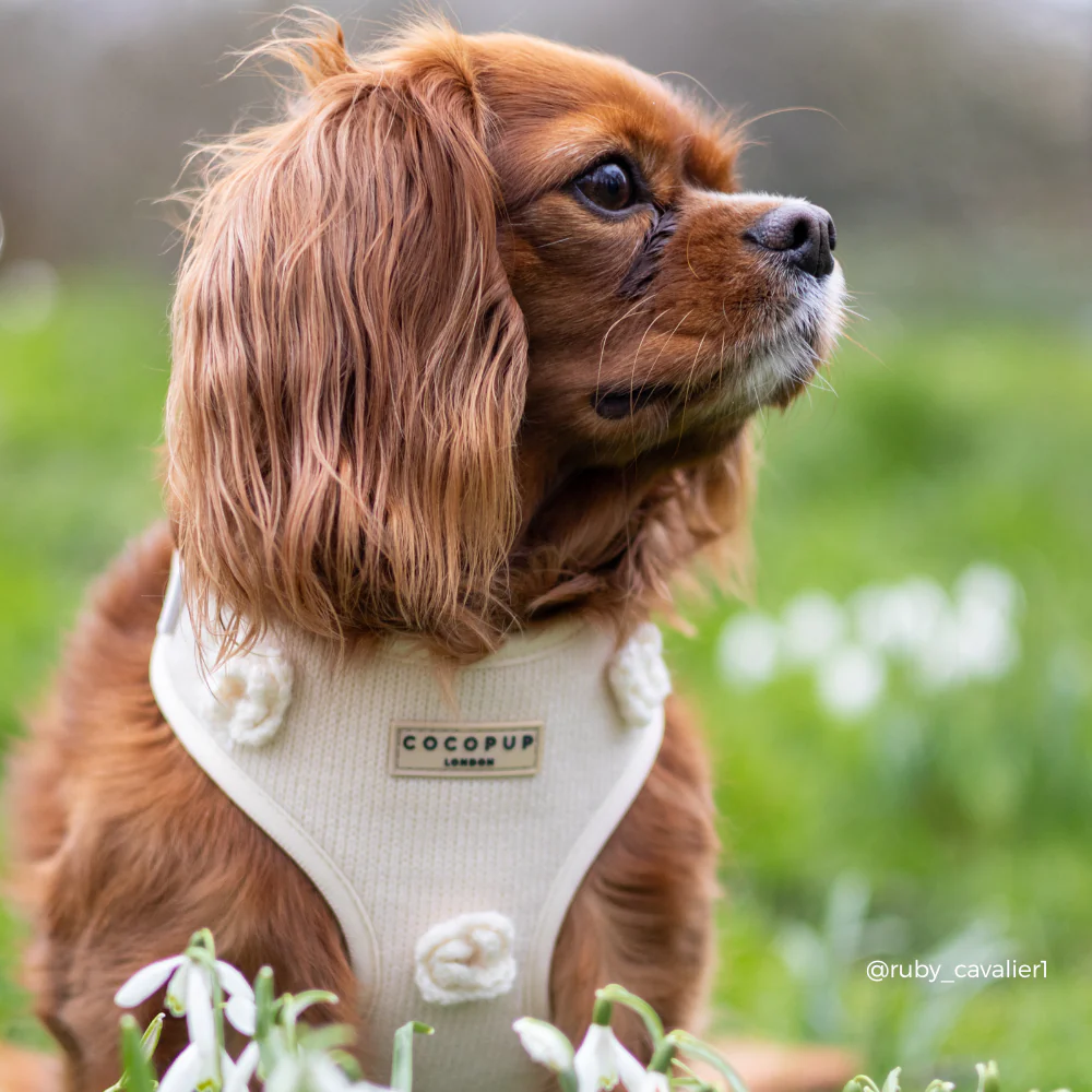 Petal Patch Adjustable Neck HARNESS - Image 7