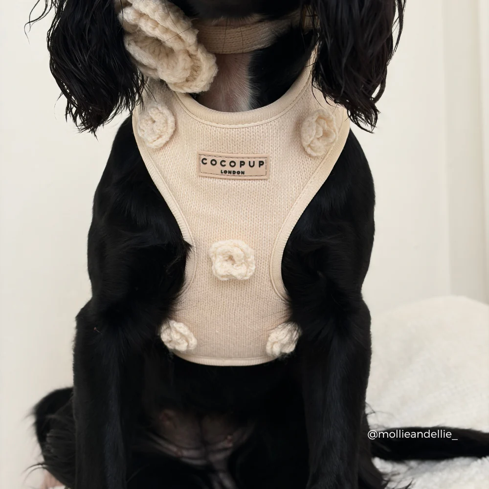 Petal Patch Adjustable Neck HARNESS - Image 4