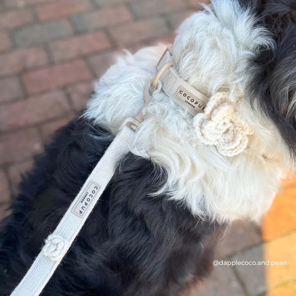 Petal Patch COLLAR - Image 2