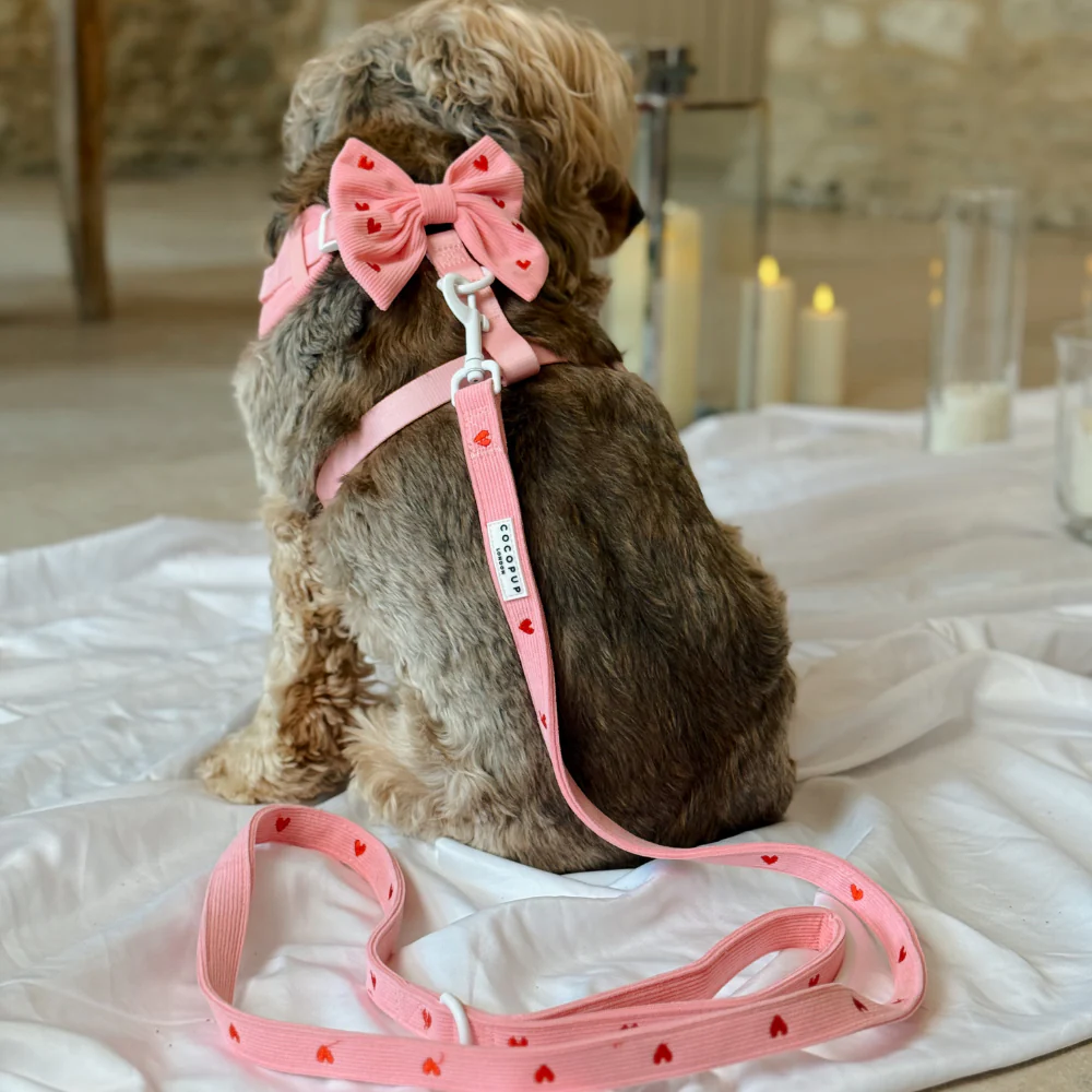 Pink Heartstrings Cord Lead - Image 2