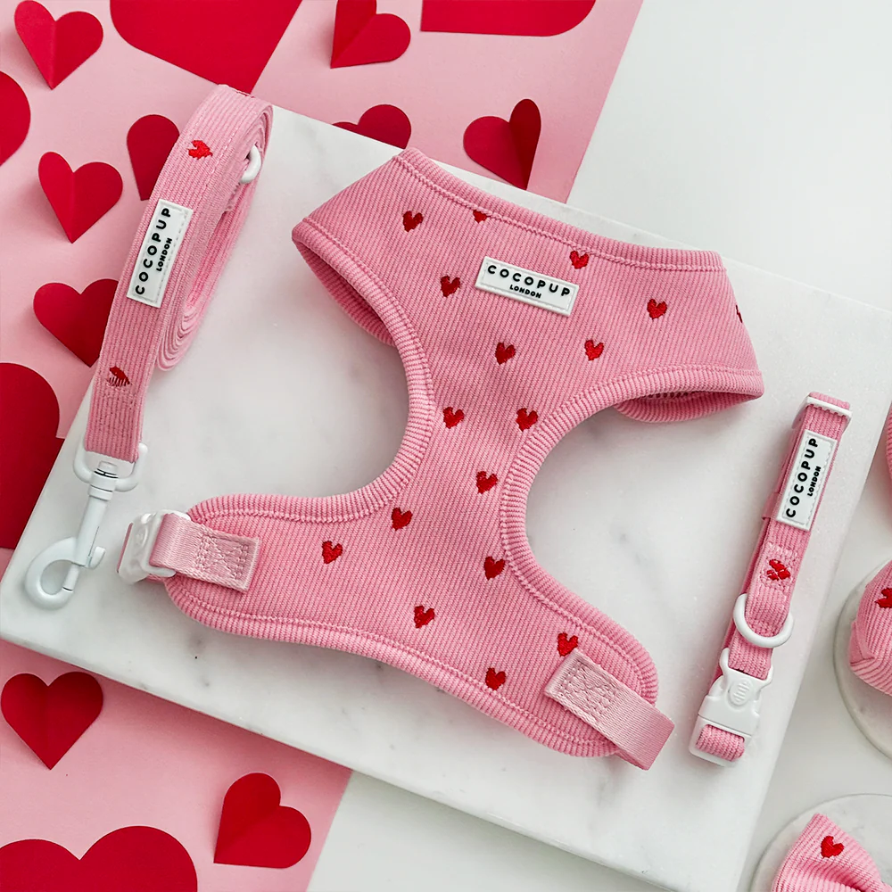 Pink Heartstrings Cord Adjustable Neck Harness, Lead & Collar Bundle - Image 2