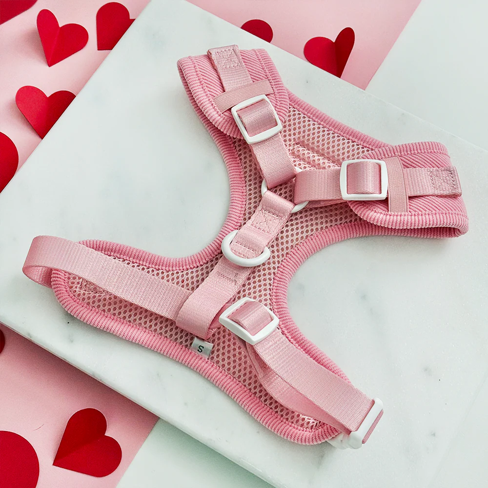 Pink Heartstrings Cord Adjustable Neck Harness, Lead & Collar Bundle - Image 4