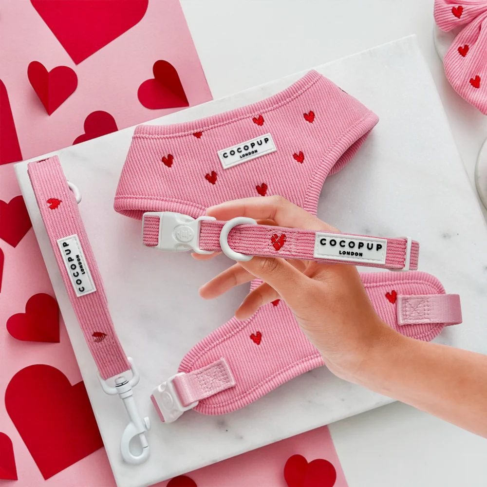 Pink Heartstrings Cord Adjustable Neck Harness, Lead & Collar Bundle - Image 6