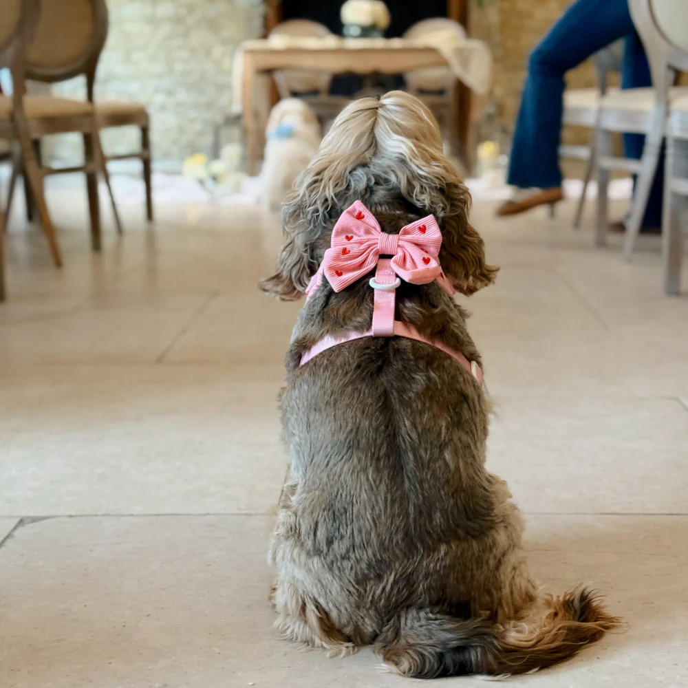 Pink Heartstrings Cord Sailor Bow Tie - Image 7