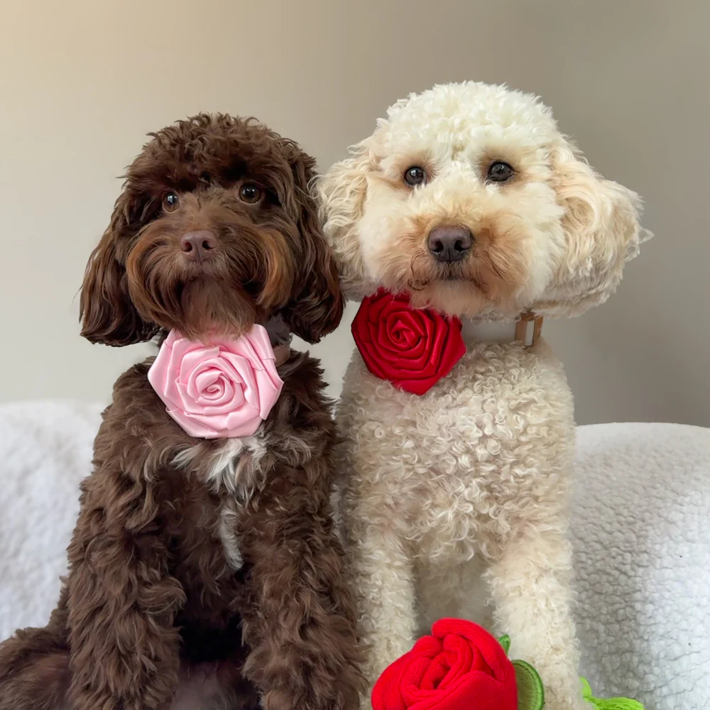 Pink Rose Collar Flower - Image 10