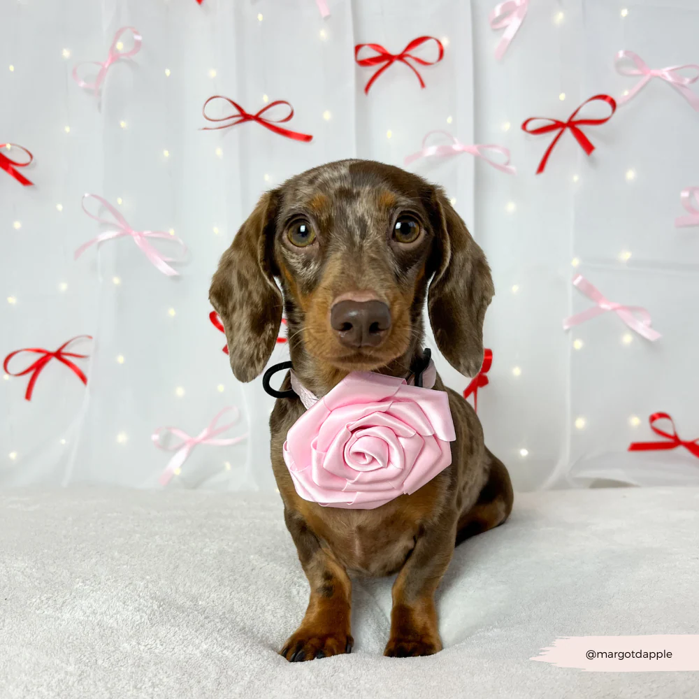 Pink Rose Collar Flower - Image 3