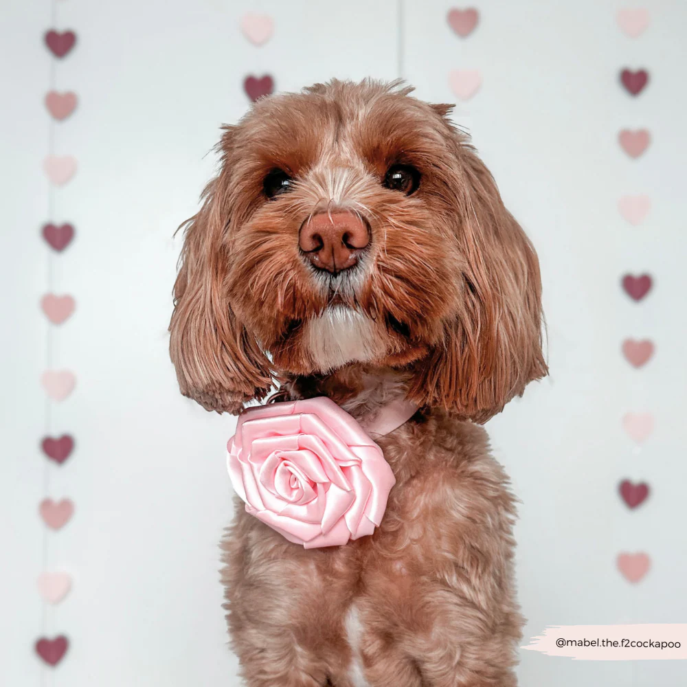 Pink Rose Collar Flower - Image 7