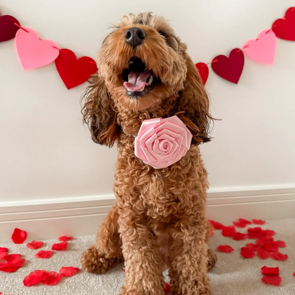 Pink Rose Collar Flower - Image 8