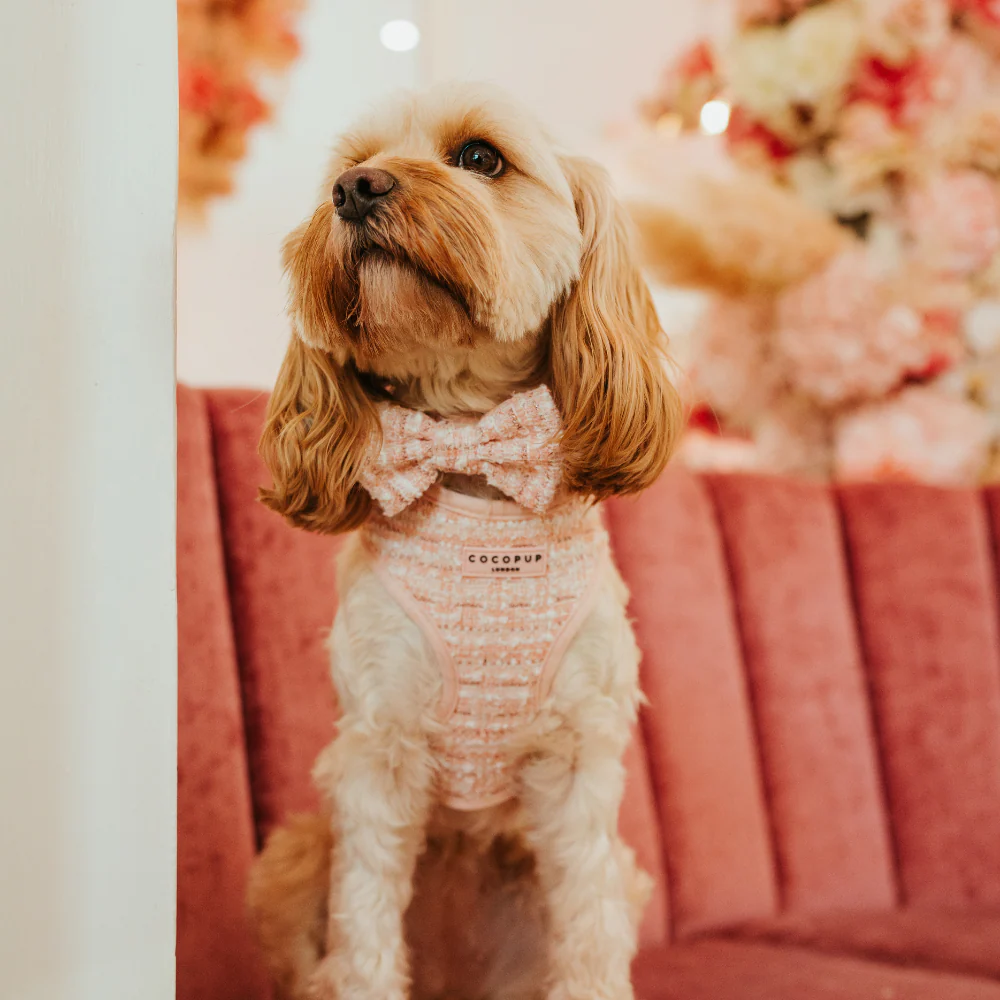 Pink Textured Tweed Bow Tie - Image 3