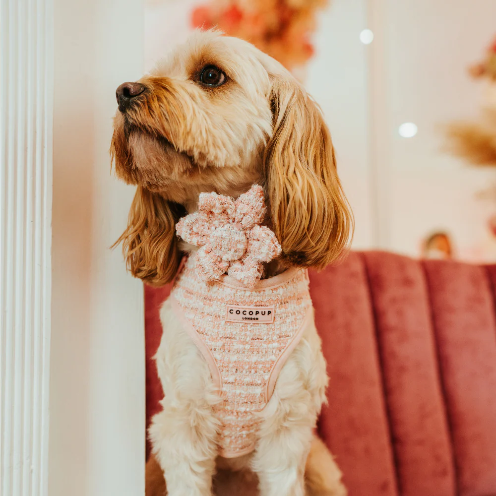 Pink Textured Tweed Adjustable Neck Harness, Lead & Collar Bundle - Image 12