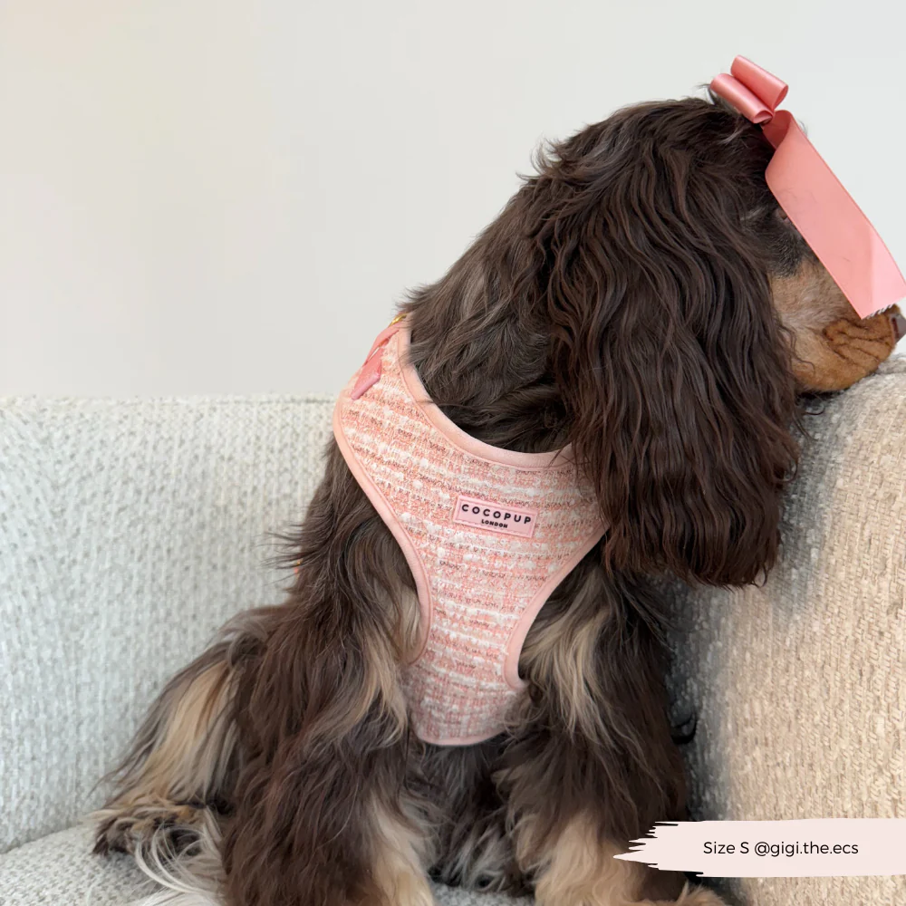 Pink Textured Tweed Adjustable Neck Harness, Lead & Collar Bundle - Image 18