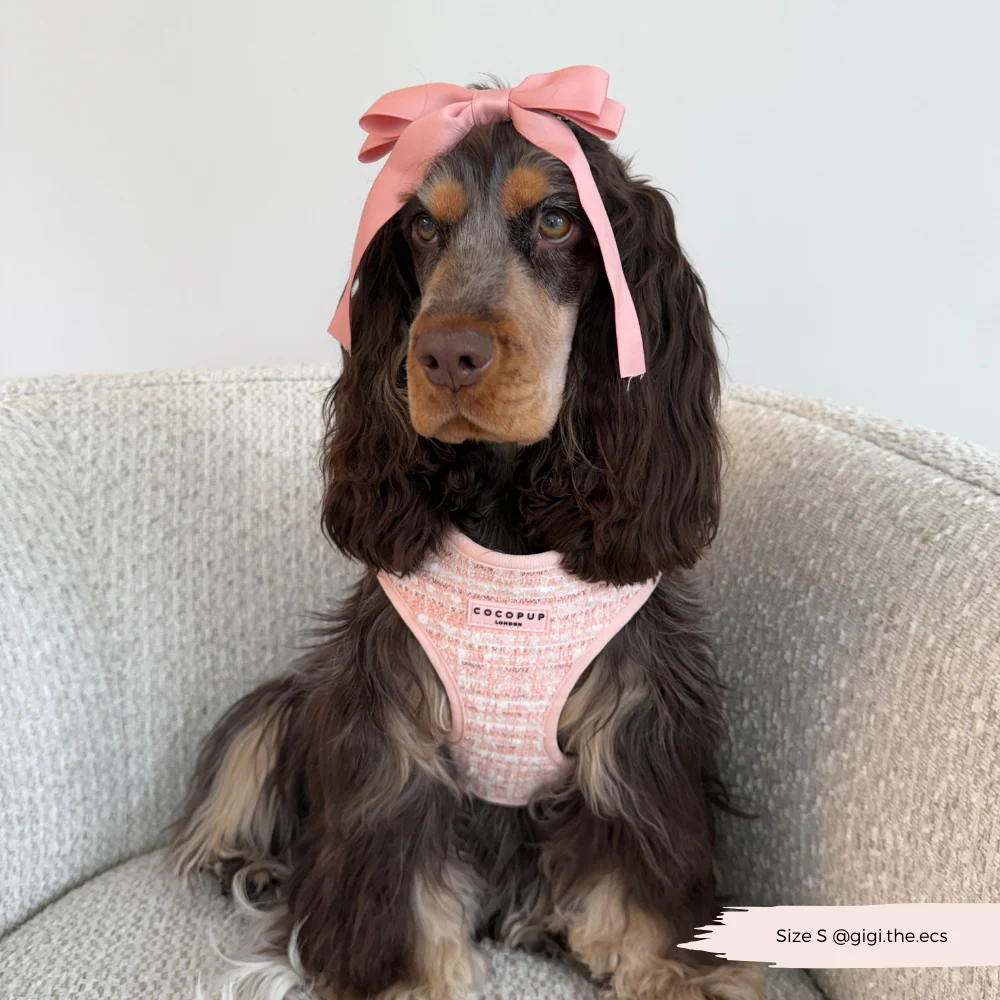 Pink Textured Tweed Adjustable Neck HARNESS - Image 10