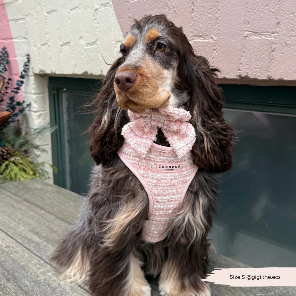 Pink Textured Tweed Sailor Bow Tie - Image 8