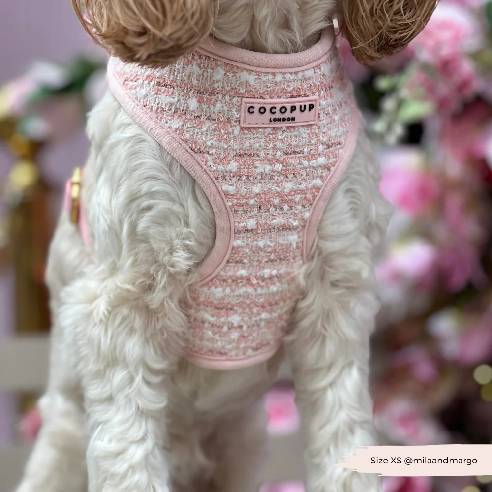 Pink Textured Tweed Adjustable Neck Harness, Lead & Collar Bundle - Image 21