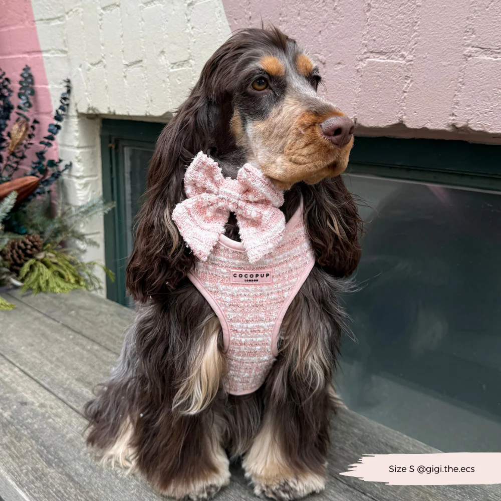 Pink Textured Tweed Adjustable Neck HARNESS - Image 7